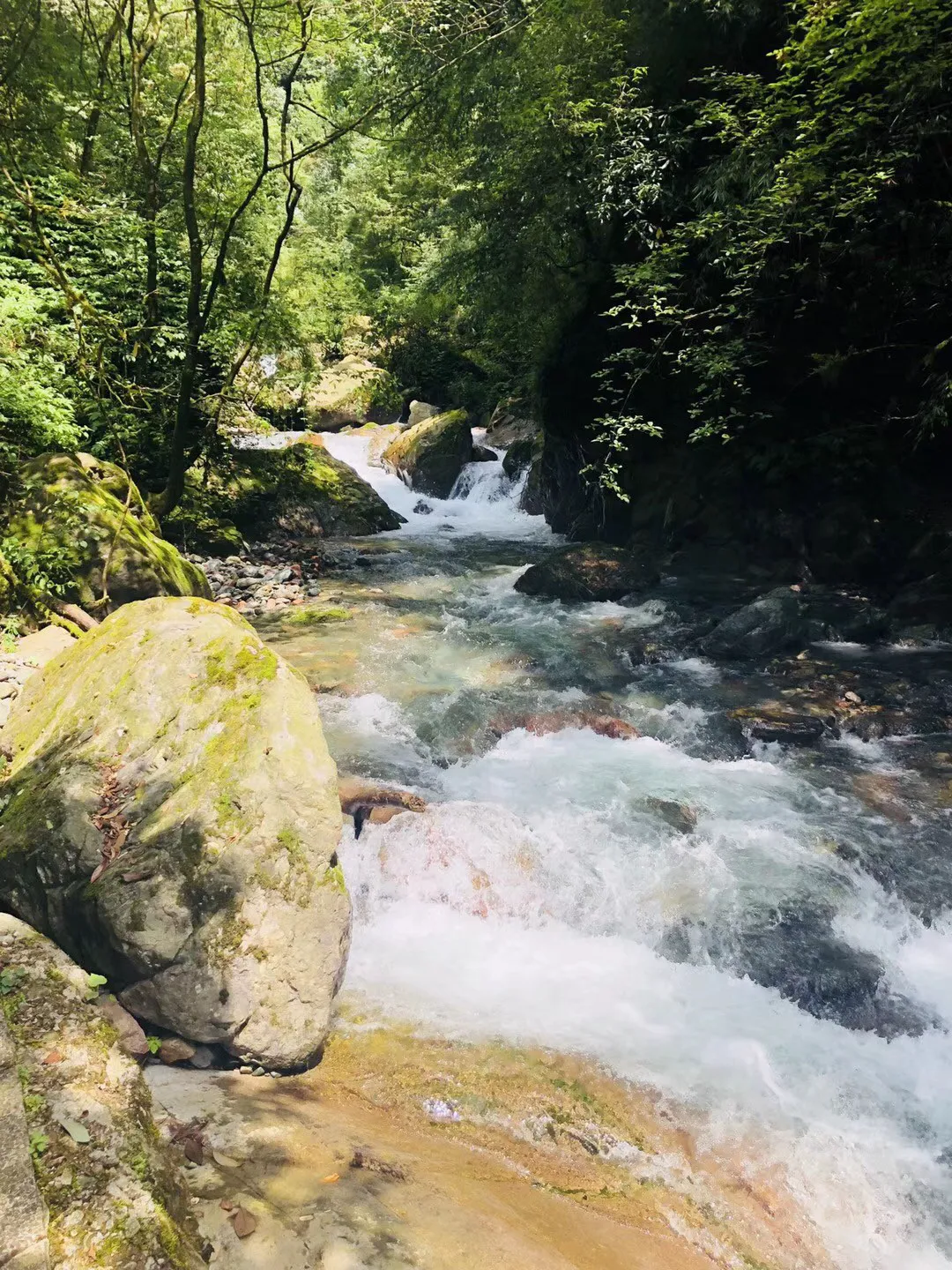 淘气兔救援